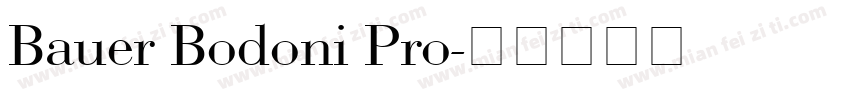 Bauer Bodoni Pro字体转换